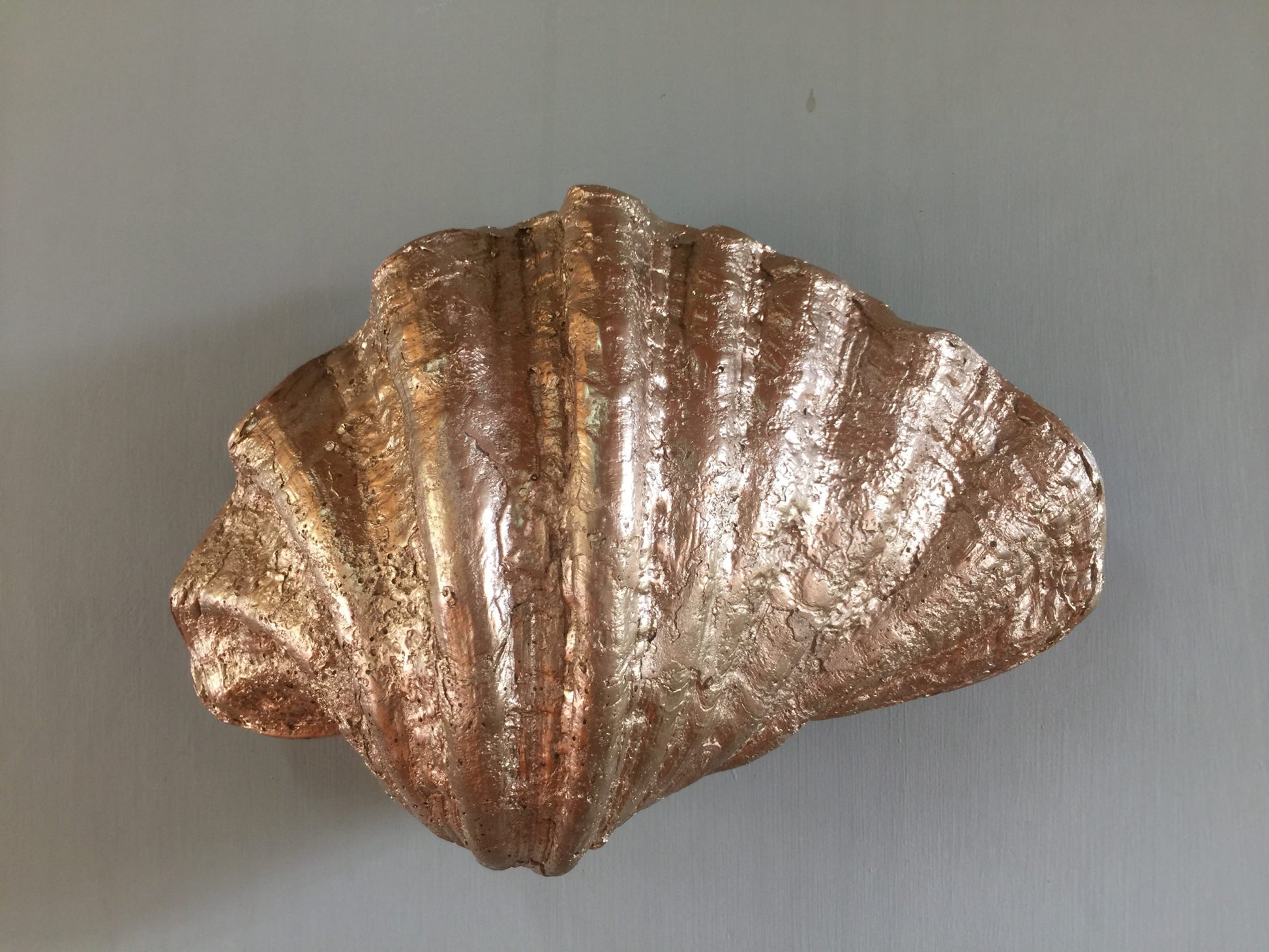 Fluted Shell Wall Sconce (palm beach design) image 1