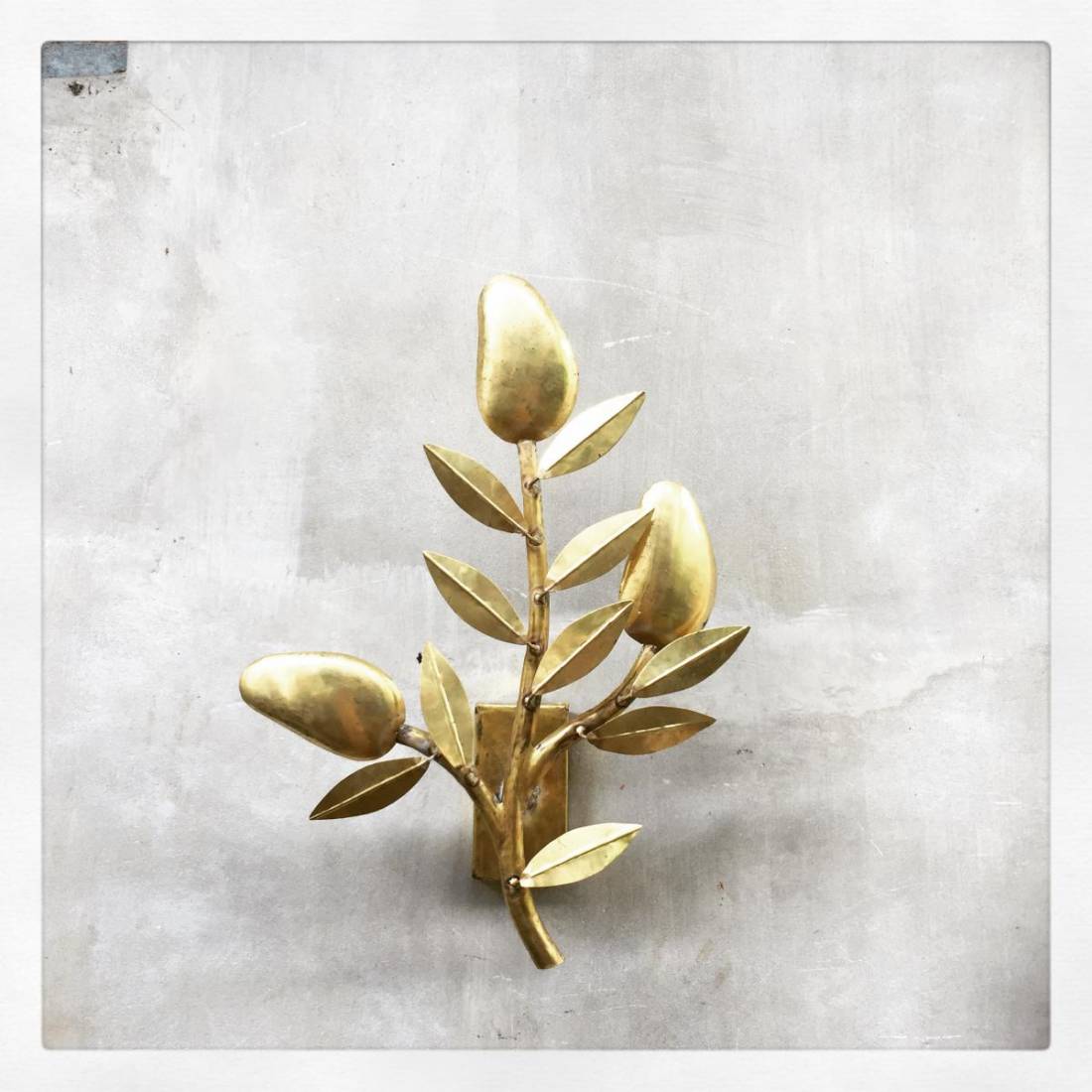 Mango Tree Wall Sconce image 1