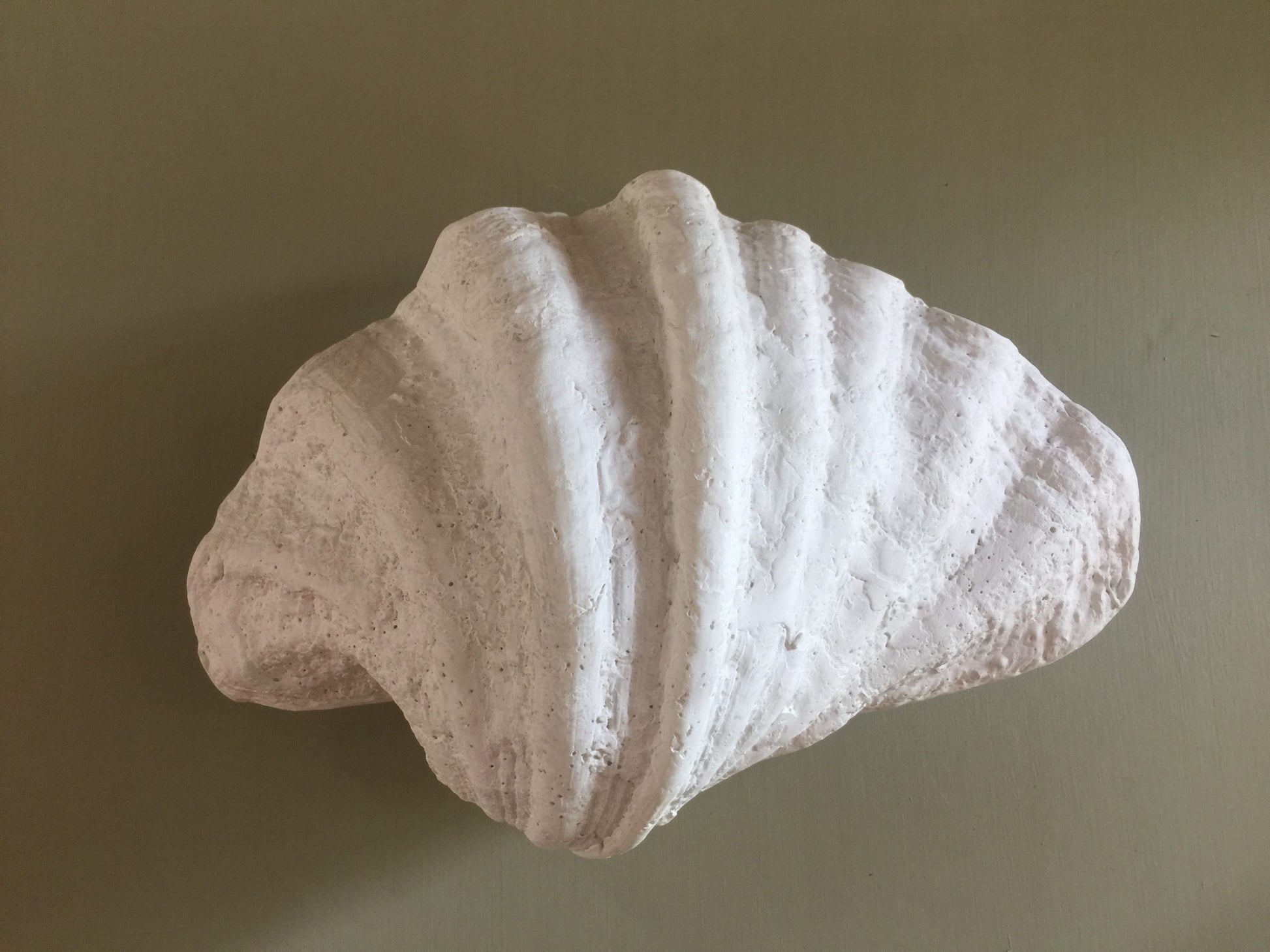 Fluted Shell Wall Sconce (palm beach design) image 2