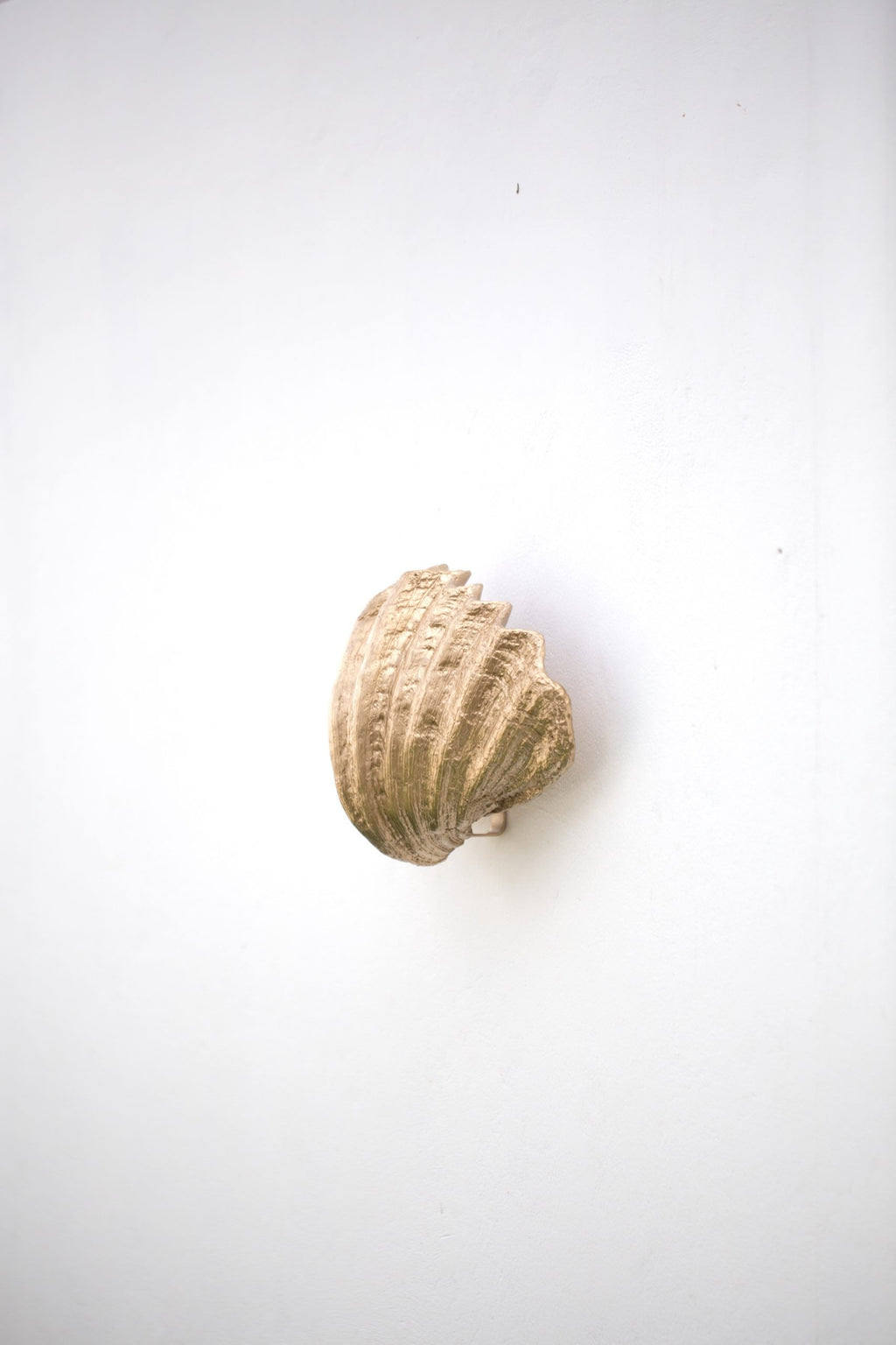 Fluted Shell Wall Sconce (palm beach design) image 5