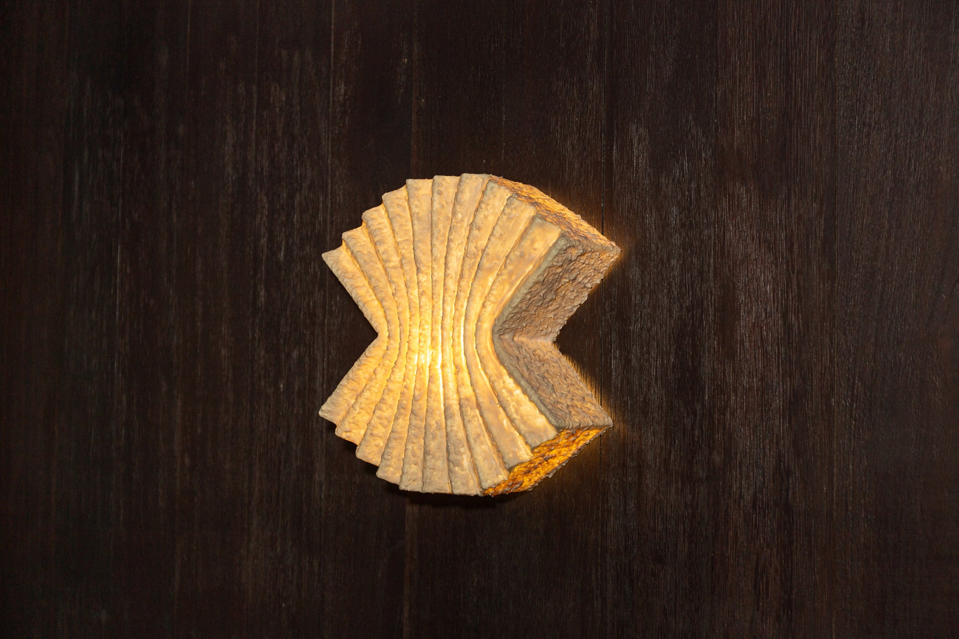 Seychelles Wall Sconce